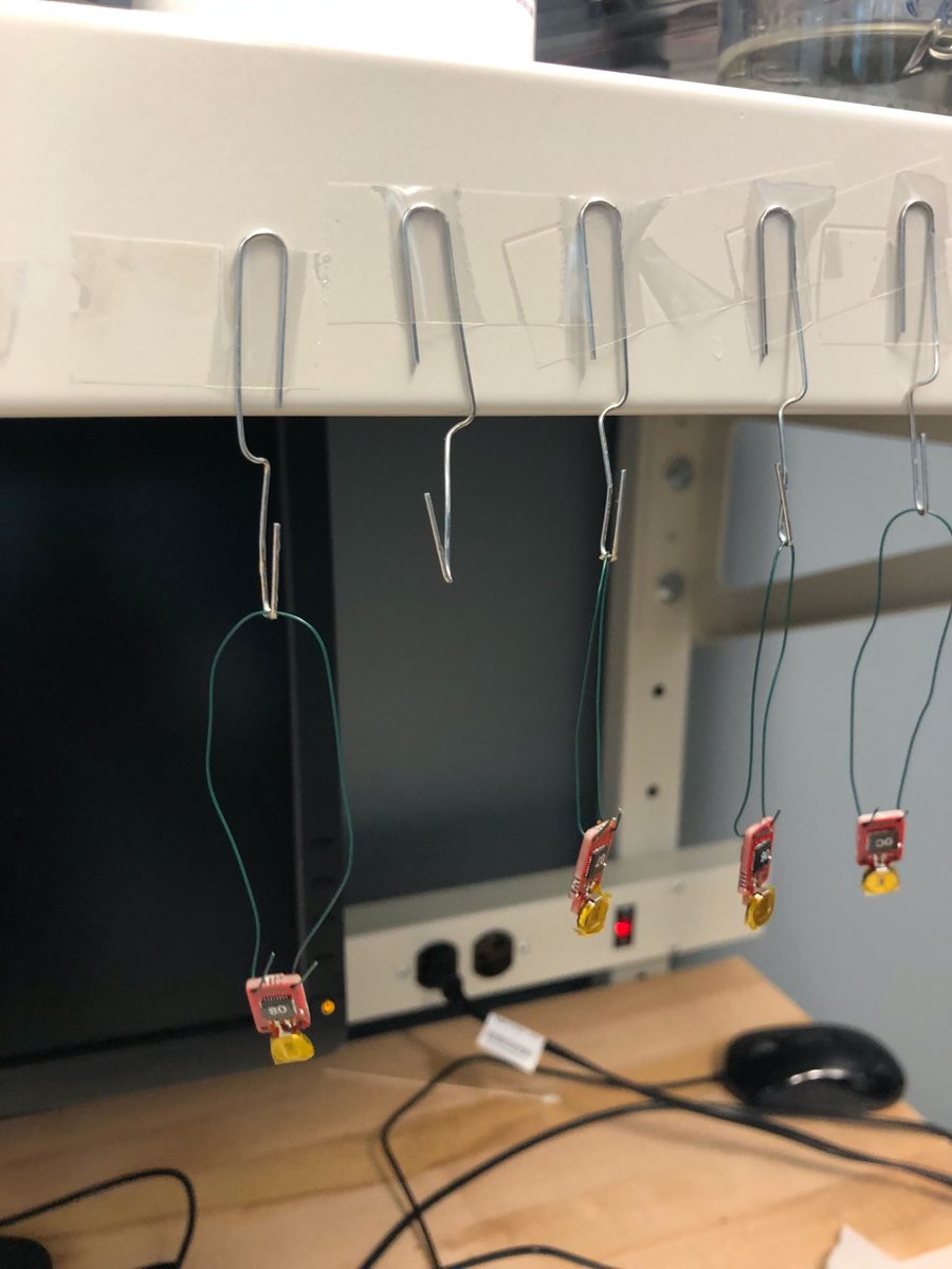 A row of wire hooks taped under a shelf edge with tags hanging from them